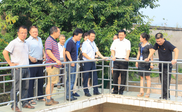 宜賓市市長杜紫平到清源水務集團考察調研