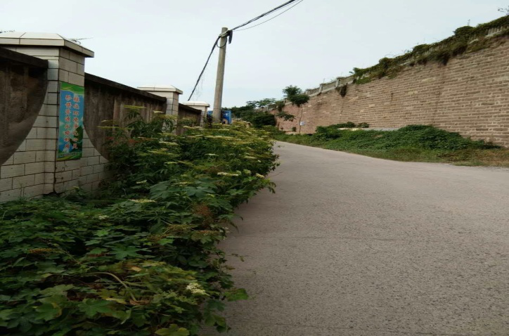 除草刷墻灑汗水，苗圃外貌換新顏