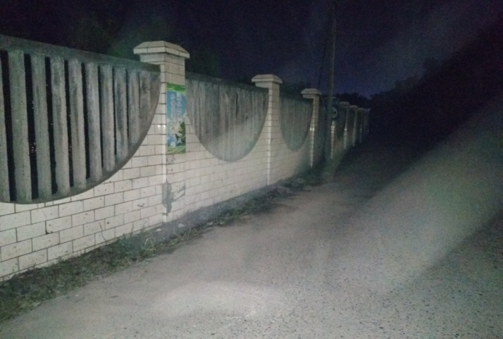 除草刷墻灑汗水，苗圃外貌換新顏