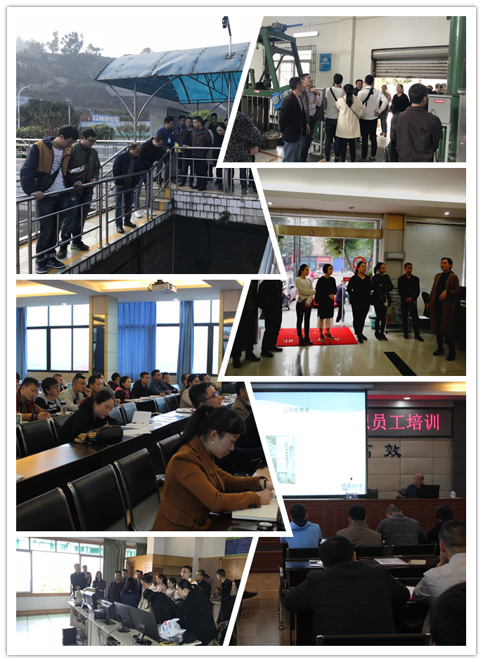 融入團(tuán)隊(duì)、勇于進(jìn)取、齊心協(xié)力促發(fā)展