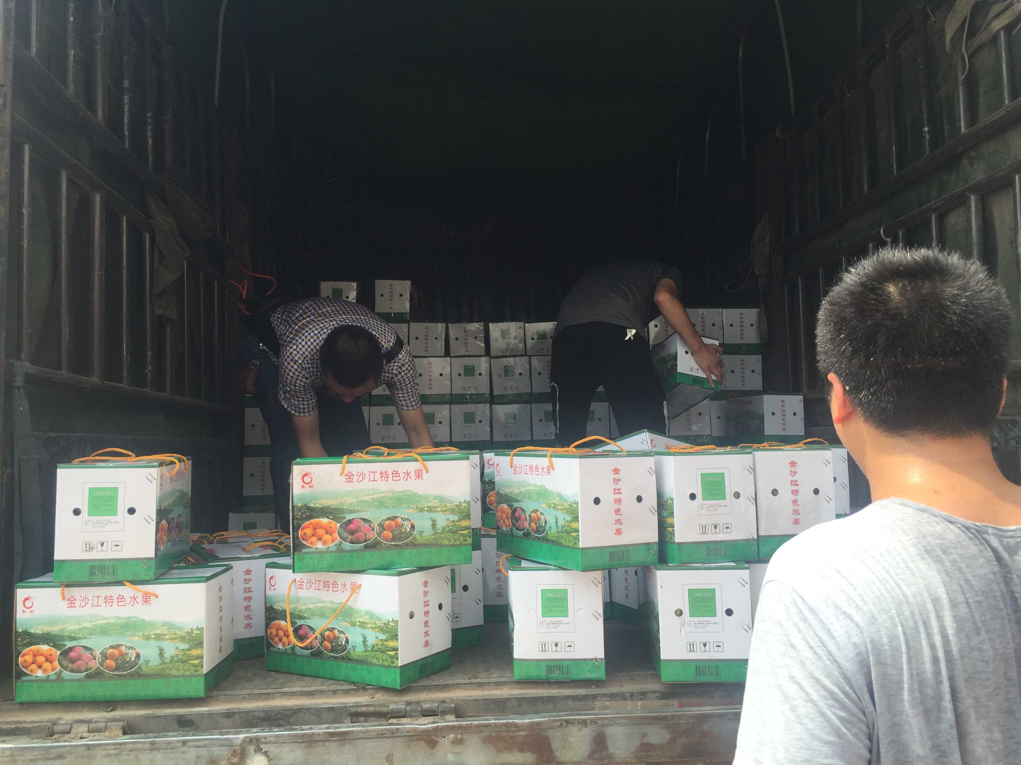 集團(tuán)公司：愛心義購(gòu)滯銷李  助力精準(zhǔn)扶貧