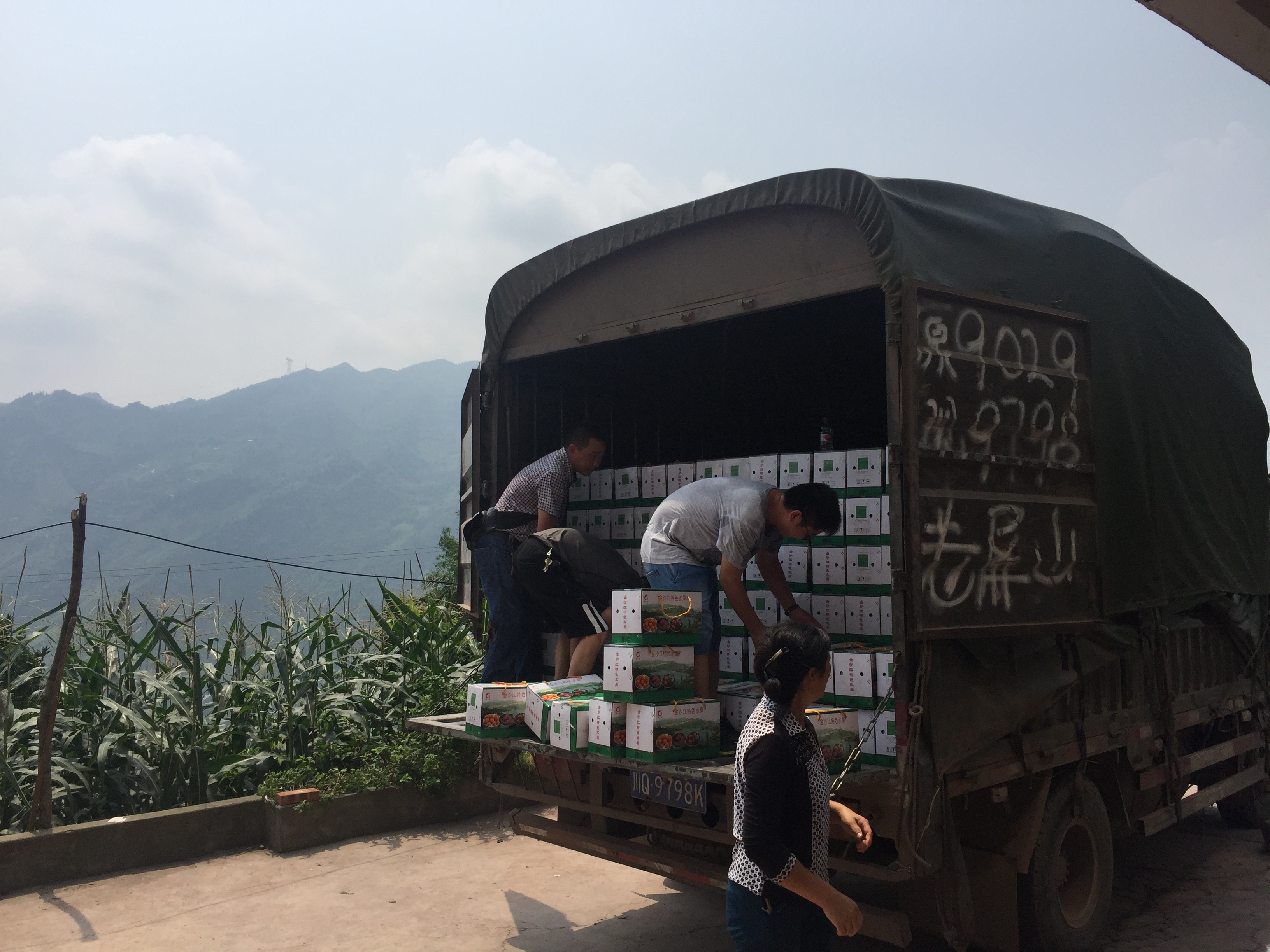 集團(tuán)公司：愛心義購(gòu)滯銷李  助力精準(zhǔn)扶貧