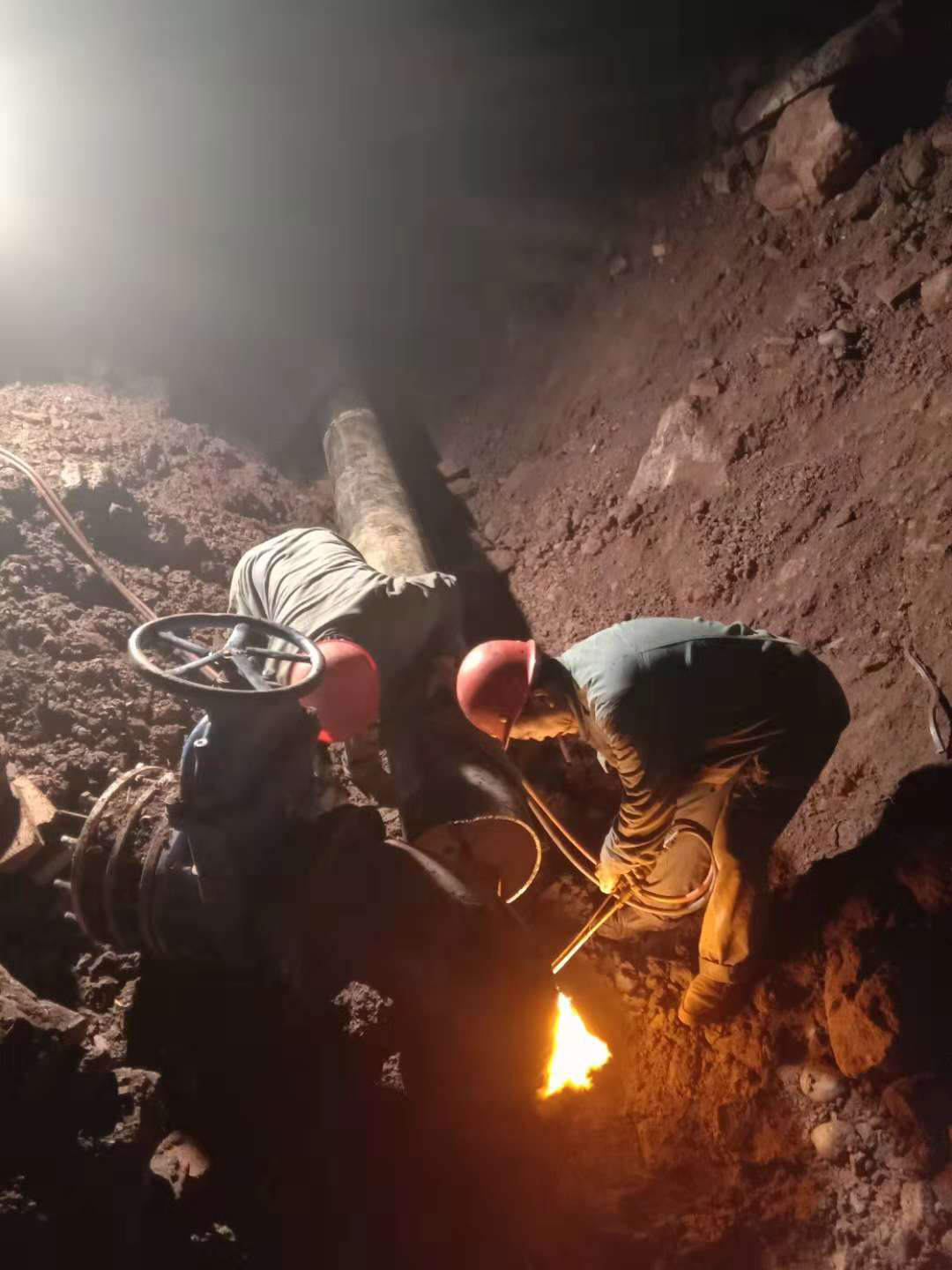 寒冷冬夜，這里溫暖如春