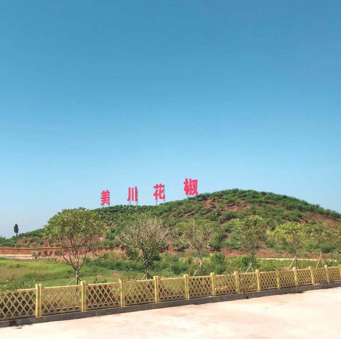 村企共創(chuàng)，建美麗宜居鄉(xiāng)村
