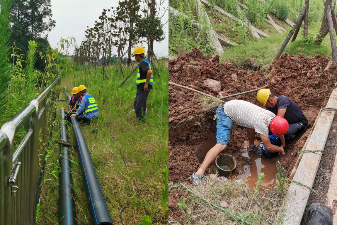 集團(tuán)公司黨委書(shū)記、董事長(zhǎng)周燕賓深入基層開(kāi)展“為群眾辦實(shí)事”工作
