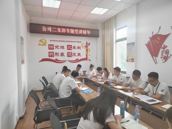 公司二支部開展“齊力共進、強企有我” 主題黨日活動