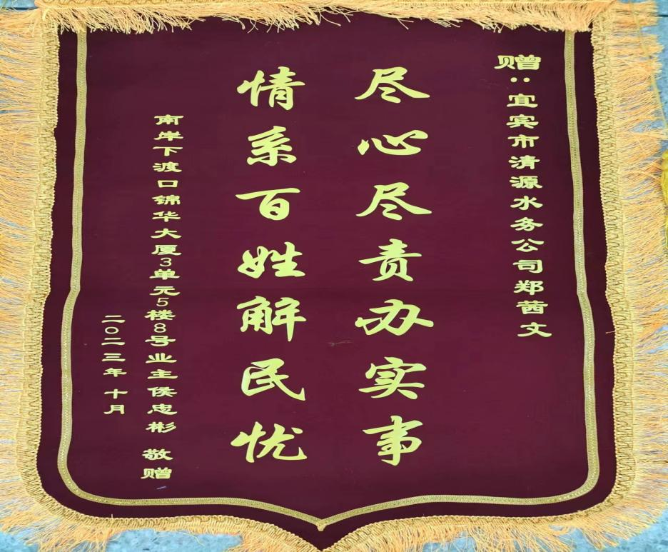 盡心盡責(zé)辦實(shí)事，為民解憂獲贊揚(yáng)